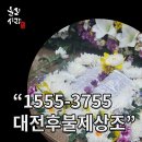 495 | 대전 장례식장 추천 남대전장례식장에서 진행한 장례 후기