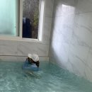 까사노블V풀빌라 이미지