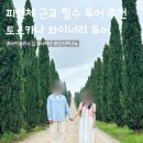 주노 | [이탈리아/신혼여행] 피렌체 근교 토스카나 와이너리 투어 추천 내돈내산 후기 (주노와스텔라)