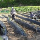 신바람농장 이미지