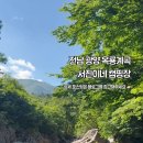 계곡 서진이네 캠핑장 명당 E-1사이트 1박2일 상세후기(예약방법, 샤워실, 화장실, 매점, 수심깊고 물...