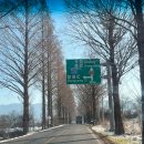 창평로 | 담양카페 추천 머무른하우스, 오픈런 필수 에그타르트맛집 &amp; 담양디저트맛집 인정