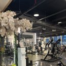삼현빌딩 | [동탄] 운동이 처음이라면 꼭 봐야 할 레드핏 휘트니스 동탄점 PT 후기 / 동탄헬스 / 동탄PT /동탄여자PT
