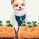 멍해묘해 이미지