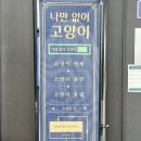 두물로 11 이미지