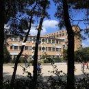 서울선사초등학교 이미지