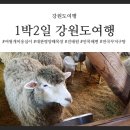 개미목장 이미지