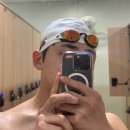 엣지Dog | 아레나 수경 코브라 엣지 스와이프 레이싱 미러수경 화이트 실제 후기