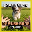 오동축산 | 순천 동물 화장, 어디서 하세요? 반려동물 장례식장 비용부터 추천까지 한번에.