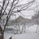 서림농원 이미지