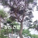 대민약국 | 정신과(精神科) 상담 후기