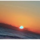 송라 아쿠아 이미지