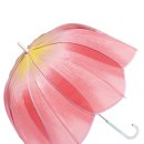 핑크피씨 이미지