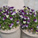 호텔오월로 이미지