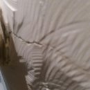 군자초교 이미지