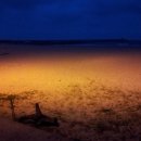 블루코스트 이미지