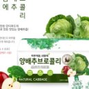 채움푸드 이미지