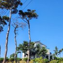 더반 힐 리조트펜션 이미지