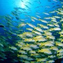 아름다운바다 이미지