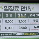 베툴라 자작나무숲 펜션 이미지