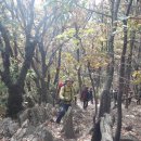 소요산춘하추동 Daum카페
