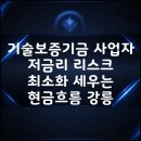 비즈파트너강릉