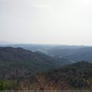 편백숲,쉼 이미지