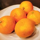 유자골 순한우 이미지