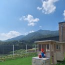 트리키즈풀빌라 이미지