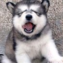 허숙희네 이미지