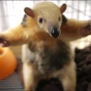 뒹굴댕굴 이미지