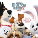 마이펫의 이중생활 이미지