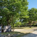 정희농박 | 강원도 정선 정희농박 캠핑장 1박2일 여행 후기