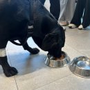 범어동물병원 이미지