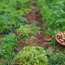 계양구 푸드마켓 이미지