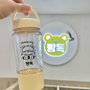 빵독 반려미용실 이미지