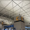 땅콩 게임장 | 돌돌이 나트랑 산책시키기(김우왕의 세번째 뱅기 ㅋ)