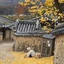 김순자 - 9006 | 김순자