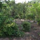 대주2농장 이미지