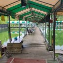 보물섬낚시터 이미지