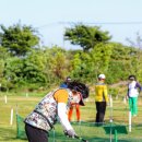 솔뫼공원 이미지