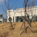 신정호길 이미지