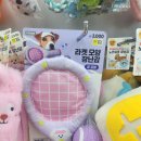 테니스좋아하니 | 다이소 강아지 장난감 추천 - 테니스 장난감 세트 후기