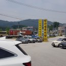 지박사막국수(무실점) 이미지