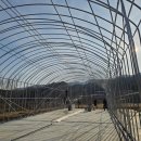 우송농장 이미지