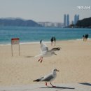 에이스비뇨기과의원 이미지