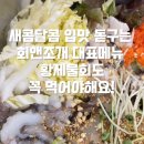 회앤조개 이미지