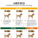 지수동물병원 이미지