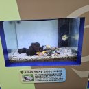 용인시기후변화체험교육센터 | 용인시 처인구 기후변화체험교육센터 방문 후기