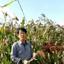 궁평농장 이미지